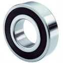 6007 2RS1 SKF